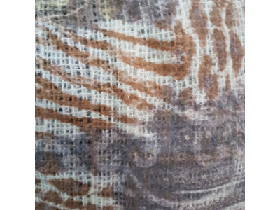 Pashmina Print - Animal Print